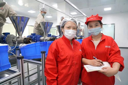 在戈壁灘上揮寫(xiě) 脫貧答卷 的上海 沙漠玫瑰