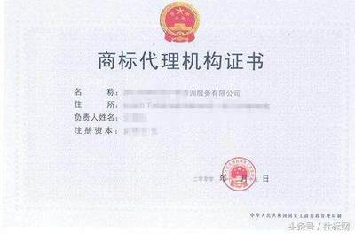 商標(biāo)代理不可替代 駁斥“放開(kāi)申請(qǐng)即無(wú)需代理”的謠言